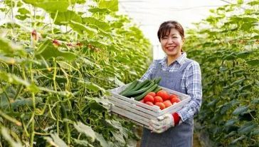 探秘九豐現(xiàn)代農(nóng)業(yè)博覽園 農(nóng)業(yè)投資的未來之窗