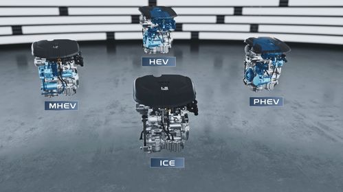 15年后無純燃油車 新能源技術路線2.0 發(fā)布 這家車企眼光太牛了