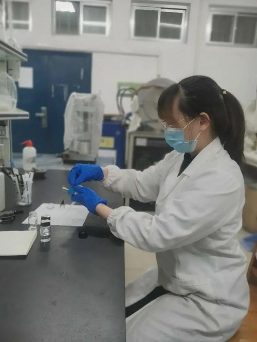 從燕山大學到科技前沿 一位學者的卓越成就